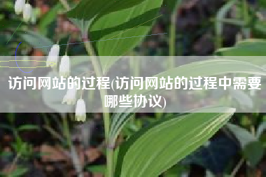 访问网站的过程(访问网站的过程中需要哪些协议)