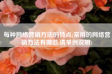 每种网络营销方法的特点(常用的网络营销方法有哪些,请举例说明)