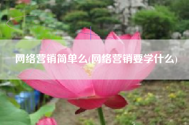 网络营销简单么(网络营销要学什么)