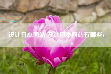 设计日本网站(设计日本网站有哪些)