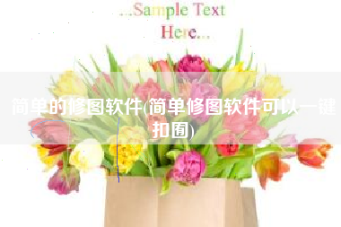 简单的修图软件(简单修图软件可以一键扣囿)