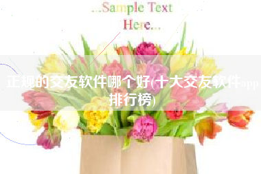 正规的交友软件哪个好(十大交友软件app排行榜)