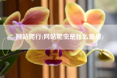 网站爬行(网站爬虫是什么意思)