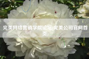 完美网络营销学院论坛(完美公司官网首页)