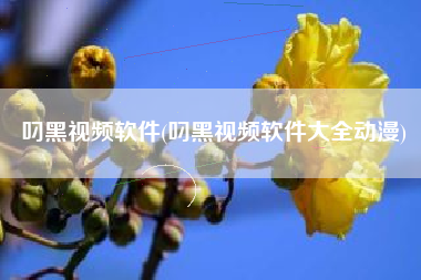 叼黑视频软件(叼黑视频软件大全动漫)