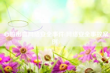 心脏出血网络安全事件(网络安全事故案例)