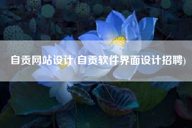 自贡网站设计(自贡软件界面设计招聘)