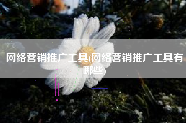 网络营销推广工具(网络营销推广工具有哪些)