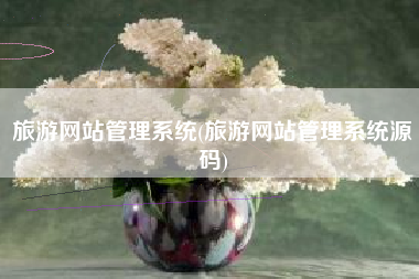 旅游网站管理系统(旅游网站管理系统源码)