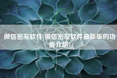 微信密友软件(微信密友软件最新版的功能介绍)