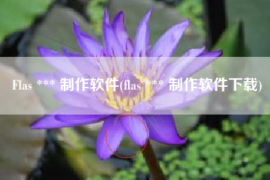 Flas *** 制作软件(flas *** 制作软件下载)
