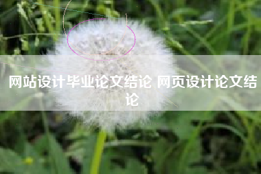 网站设计毕业论文结论 网页设计论文结论