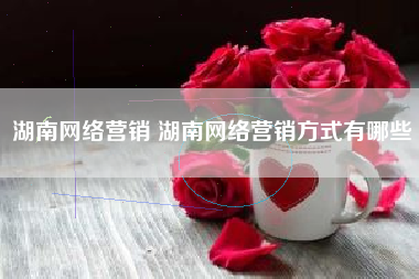 湖南网络营销 湖南网络营销方式有哪些