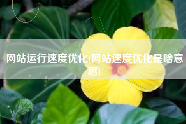网站运行速度优化(网站速度优化是啥意思)