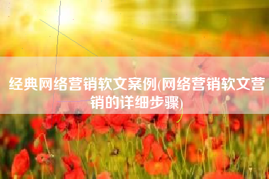 经典网络营销软文案例(网络营销软文营销的详细步骤)