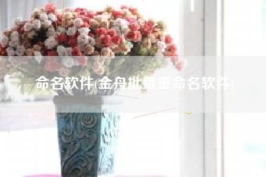 命名软件(金舟批量重命名软件)