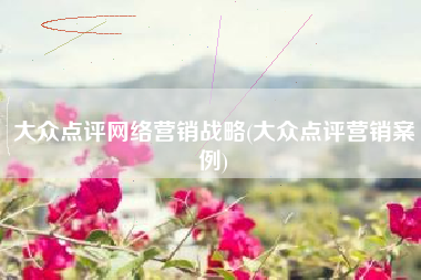 大众点评网络营销战略(大众点评营销案例)