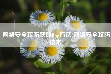 网络安全攻防获取flag方法(网络安全攻防技术)