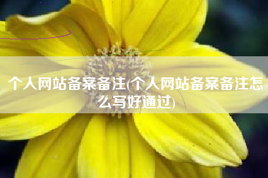 个人网站备案备注(个人网站备案备注怎么写好通过)