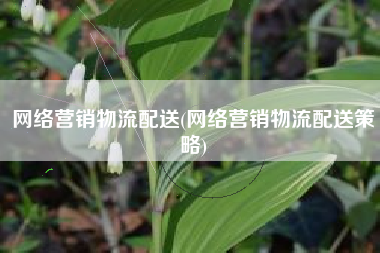 网络营销物流配送(网络营销物流配送策略)