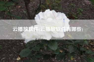 云播放软件(云播放软件有哪些)