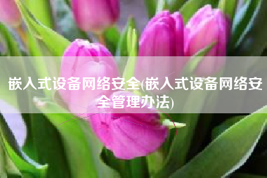嵌入式设备网络安全(嵌入式设备网络安全管理办法)