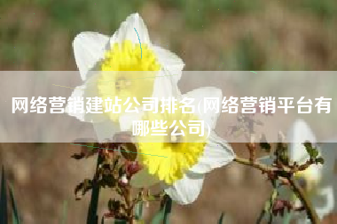 网络营销建站公司排名(网络营销平台有哪些公司)