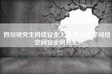 四川研究生网络安全大学(四川大学网络空间安全研究生)