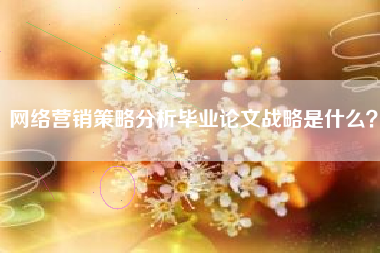 网络营销策略分析毕业论文战略是什么？
