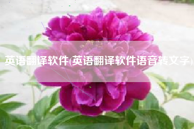 英语翻译软件(英语翻译软件语音转文字)