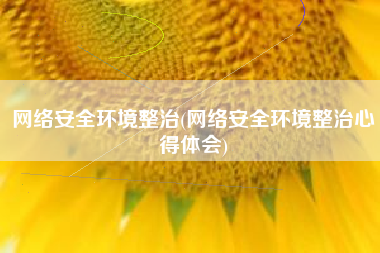 网络安全环境整治(网络安全环境整治心得体会)