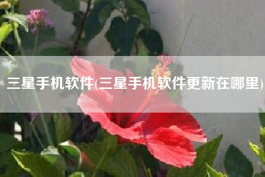 三星手机软件(三星手机软件更新在哪里)