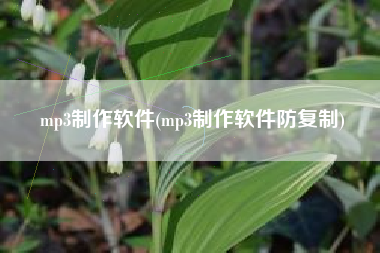 mp3制作软件(mp3制作软件防复制)