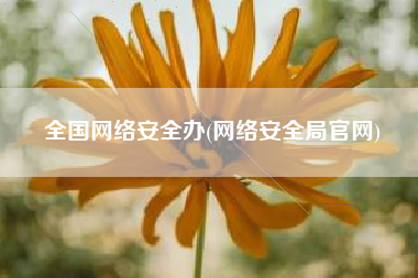 全国网络安全办(网络安全局官网)