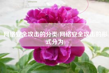 网络安全攻击的分类(网络安全攻击的形式分为)
