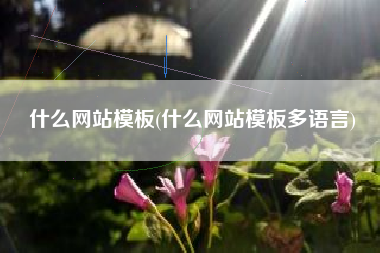 什么网站模板(什么网站模板多语言)