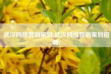 武汉网络营销策划(武汉网络营销策划招聘)