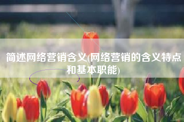 简述网络营销含义(网络营销的含义特点和基本职能)