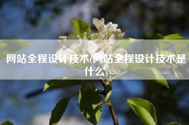 网站全程设计技术(网站全程设计技术是什么)