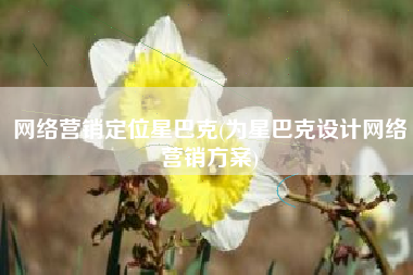 网络营销定位星巴克(为星巴克设计网络营销方案)
