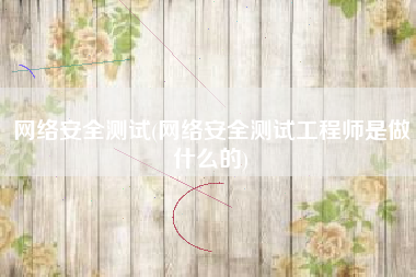 网络安全测试(网络安全测试工程师是做什么的)