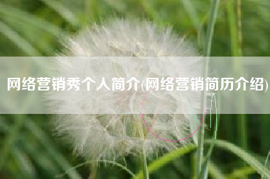 网络营销秀个人简介(网络营销简历介绍)