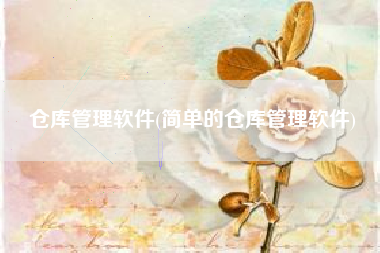 仓库管理软件(简单的仓库管理软件)