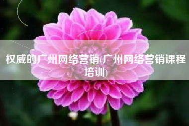 权威的广州网络营销(广州网络营销课程培训)