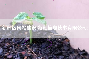 新潮远网站建设(新潮信息技术有限公司)