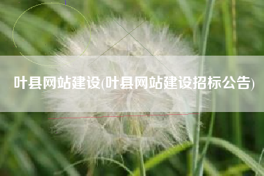 叶县网站建设(叶县网站建设招标公告)