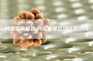网站备案修改(网站备案后可以修改吗)
