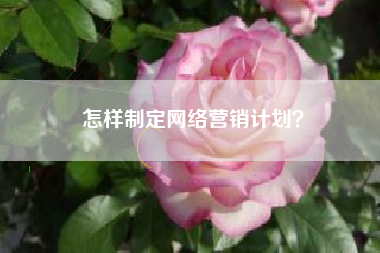 怎样制定网络营销计划？