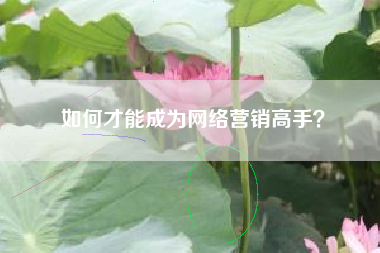 如何才能成为网络营销高手？