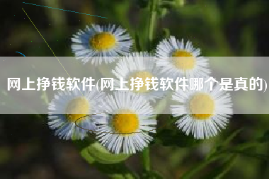 网上挣钱软件(网上挣钱软件哪个是真的)